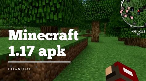 Minecraft Mod Apk 1.17 10